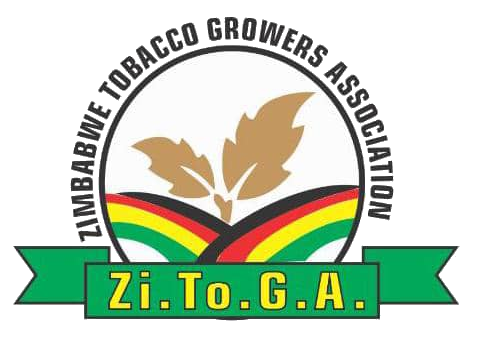 Zitoga Logo